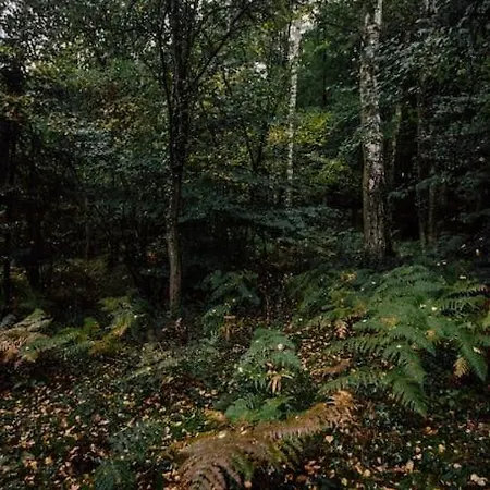 Casa Slow Avec Sa Piscine Chauffee Au Bord Du *