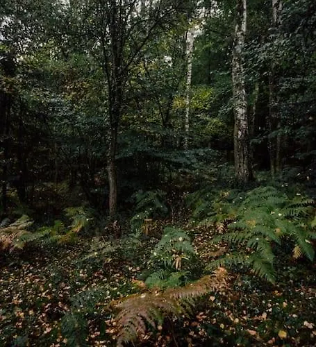 Casa Slow Avec Sa Piscine Chauffee Au Bord Du *